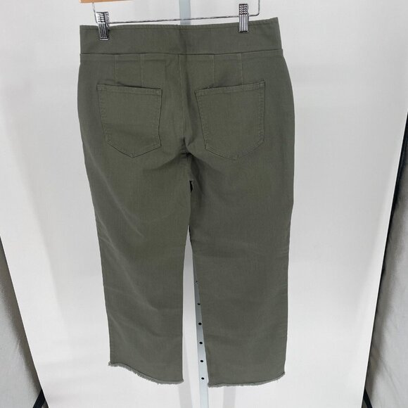 Loft Womens Cropped Green Chino Pants NWT Size 4 Office Girlfriend Straight Leg - Picture 2 of 11